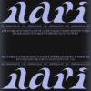 Nari Custom Type
