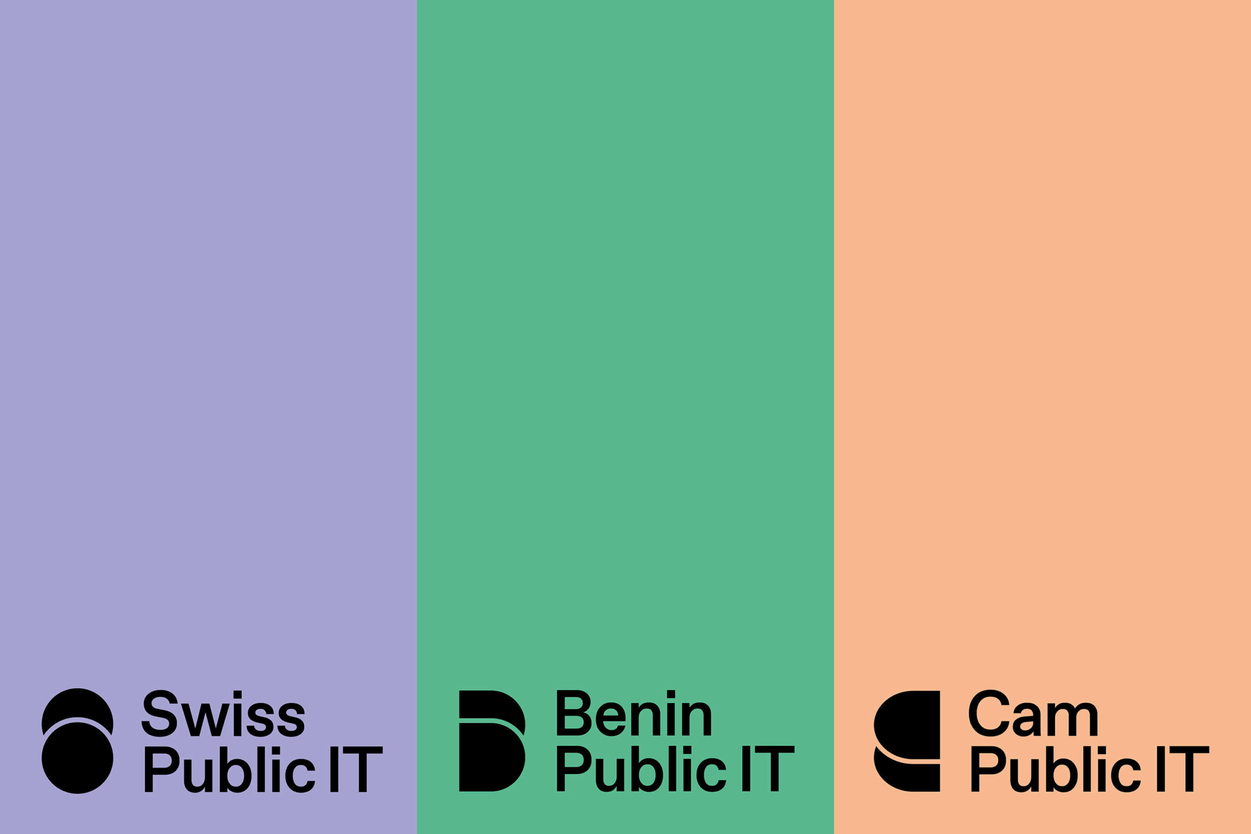 Swiss Public IT Ident – Variants - 4